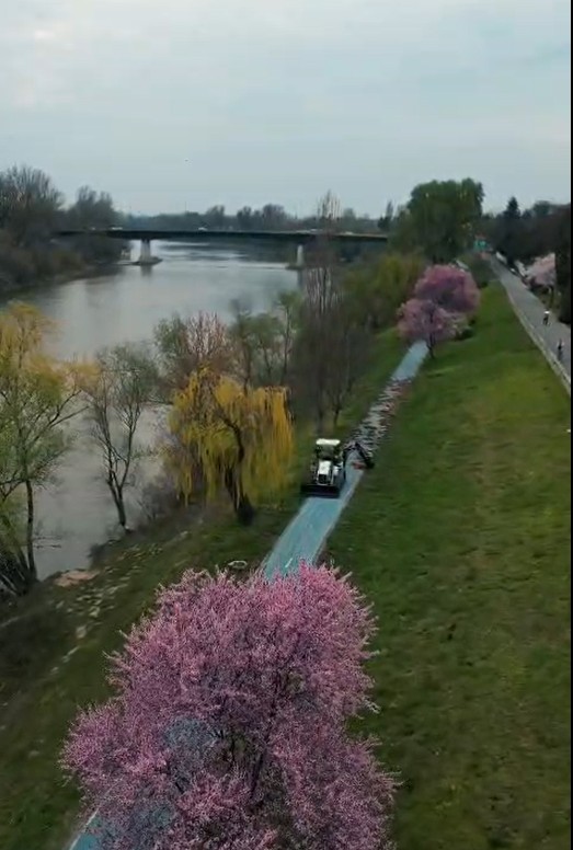 Screenshot 2026-03-26 082505