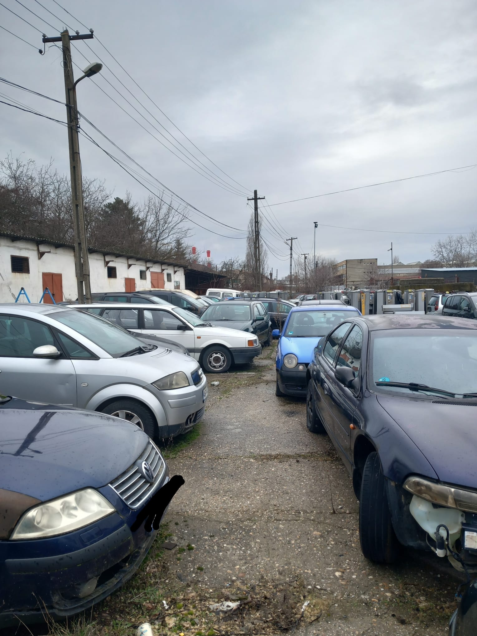 WhatsApp Image 2026-02-04 at 1.15.43 PM